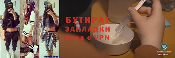 индика Алексин