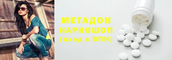 индика Алексин