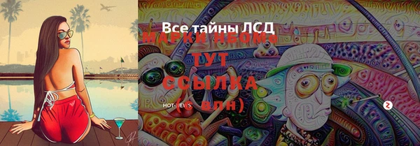 индика Алексин