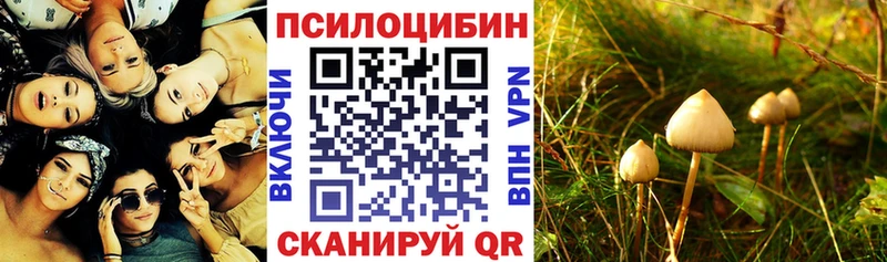 даркнет состав Джанкой Галлюциногенные грибы Cubensis МЕГА ССЫЛКА